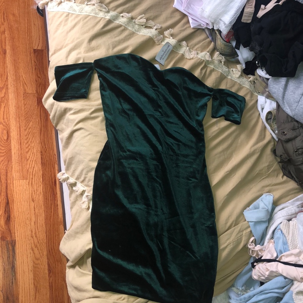 Dark green velour dress. Never Worn. With tags !